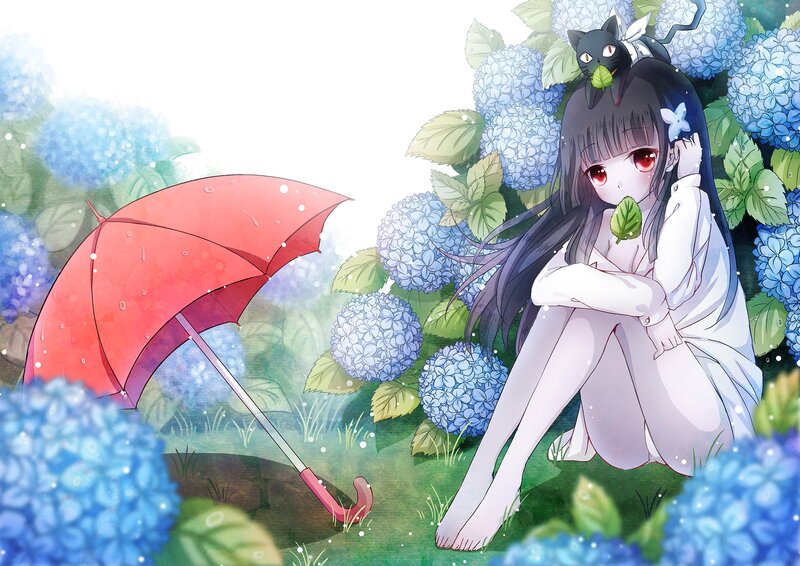 Girl with cat in hydrangea garden