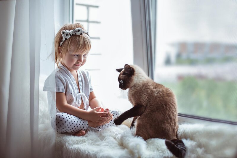 Girl with Cat on Windowsill
