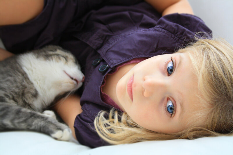 Girl with Cat — Purple