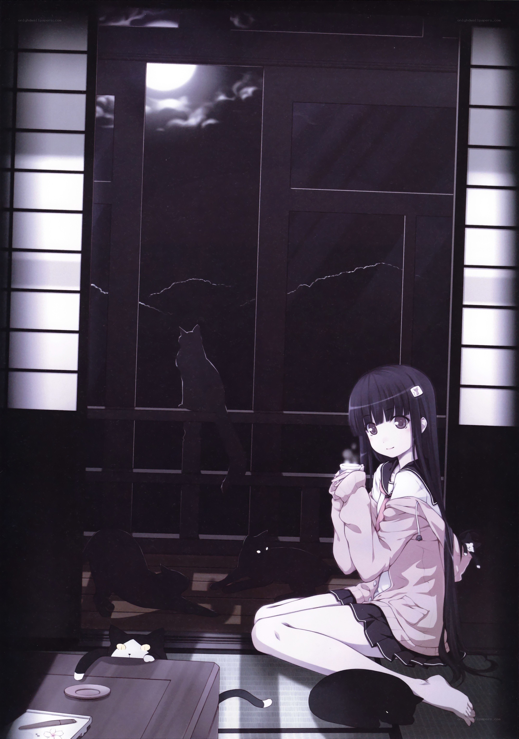 Girl with cats at night