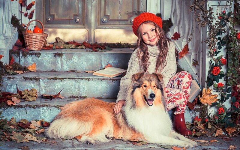 Girl with Collie Dog — Orange, Peaceful