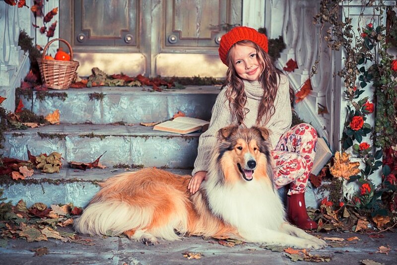 Girl with Collie Dog — Orange