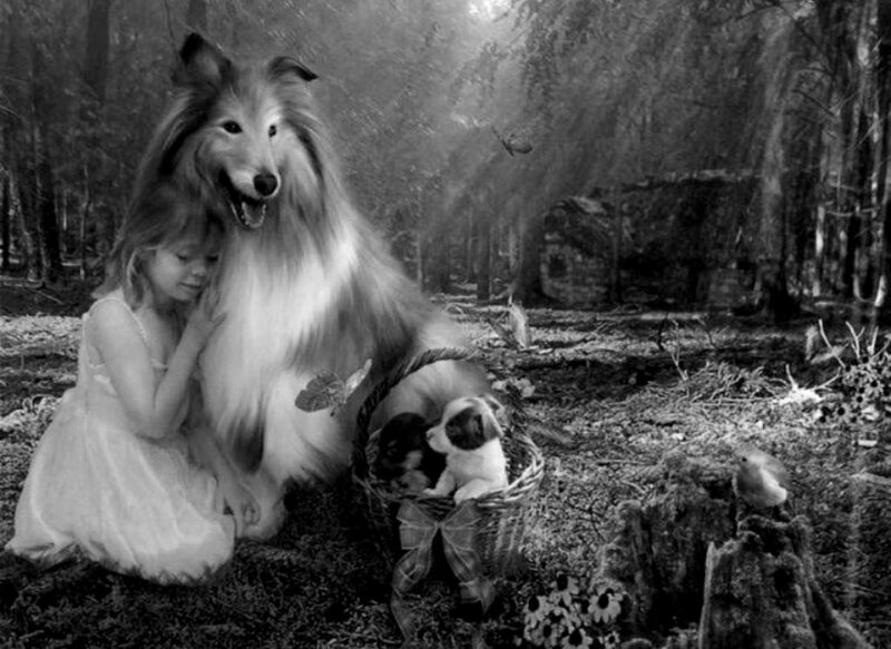 Girl with Collie Dog