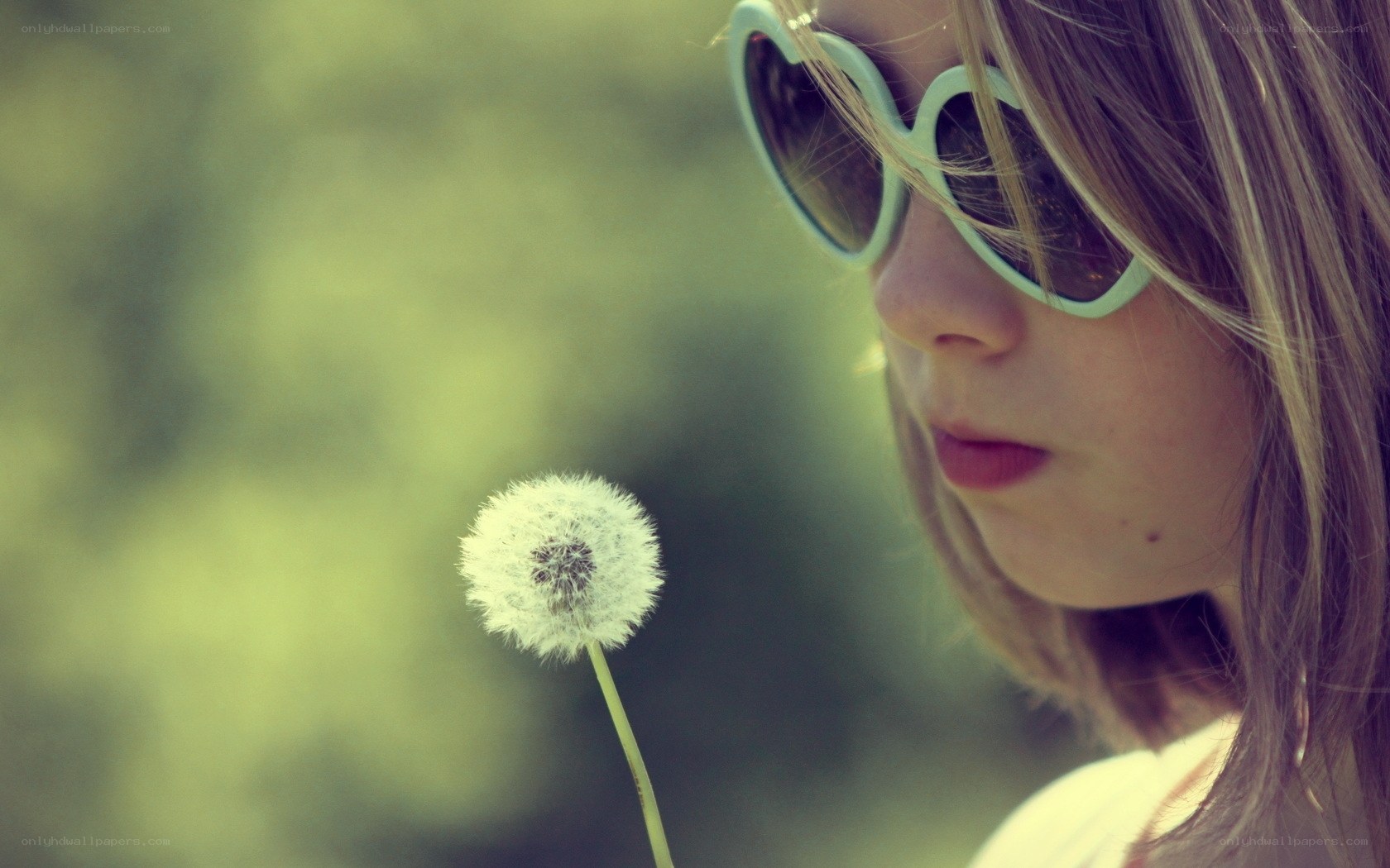 girl with dandelion