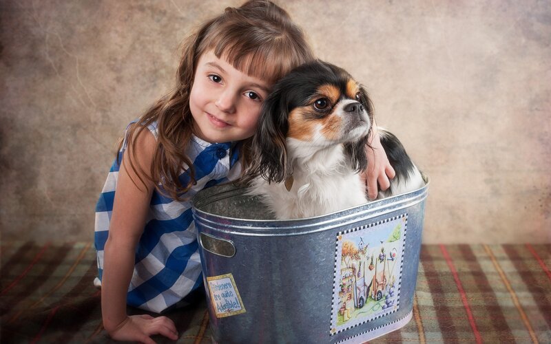 girl with dog in bucket