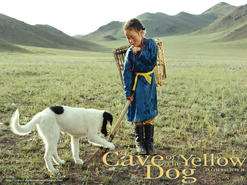 Girl with dog in grassland