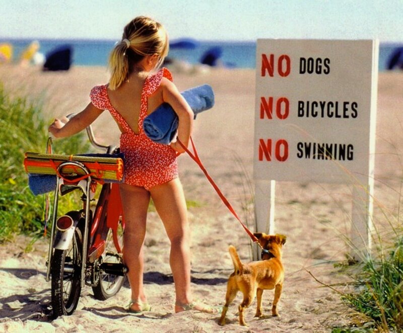 Girl with Dog on Beach — Beige
