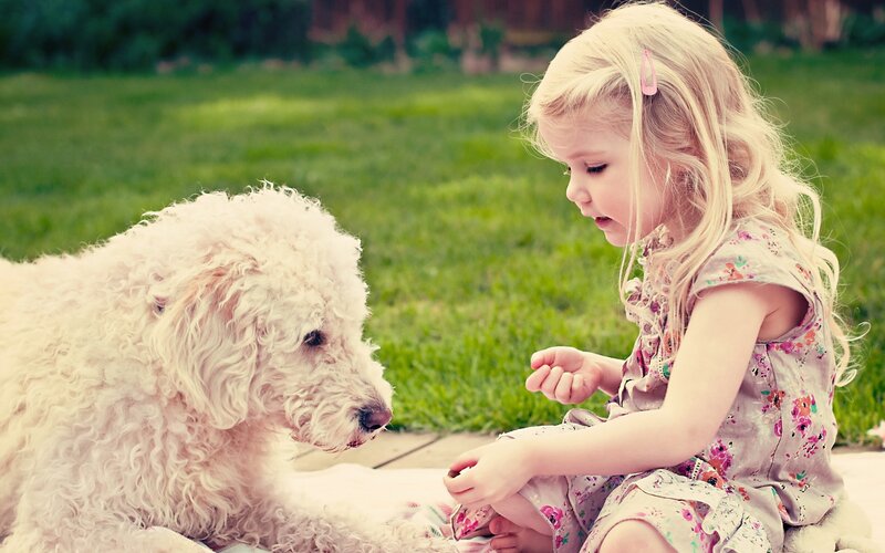 girl with dog on grass