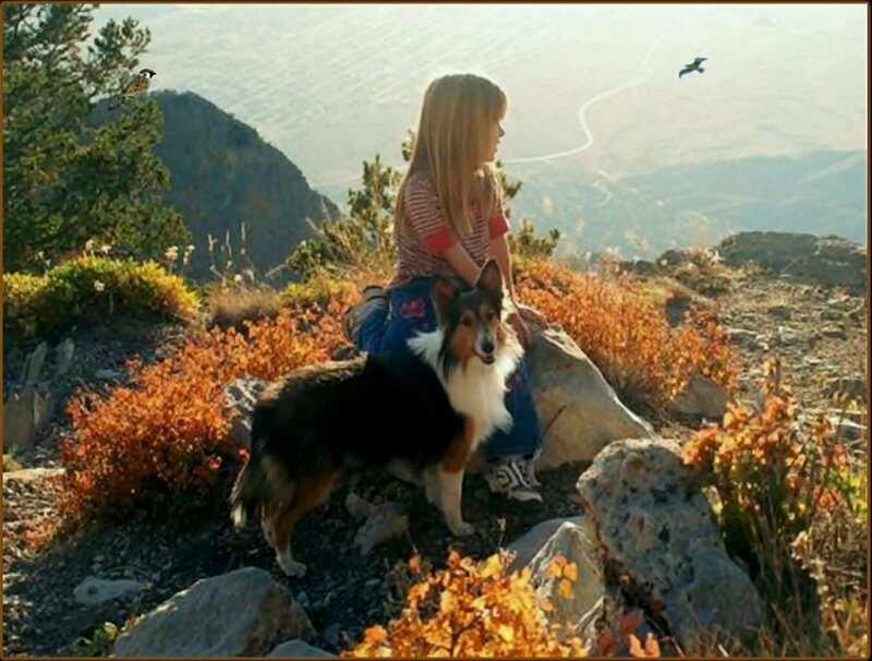 Girl with Dog on Mountain