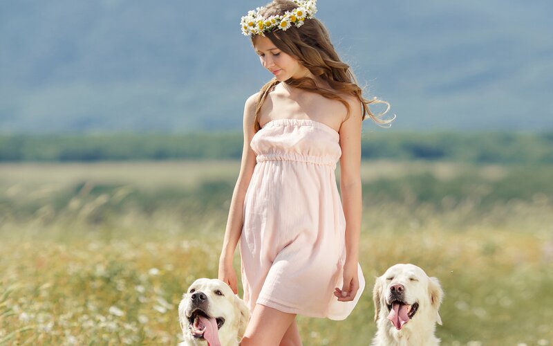 Girl with Dogs in Field