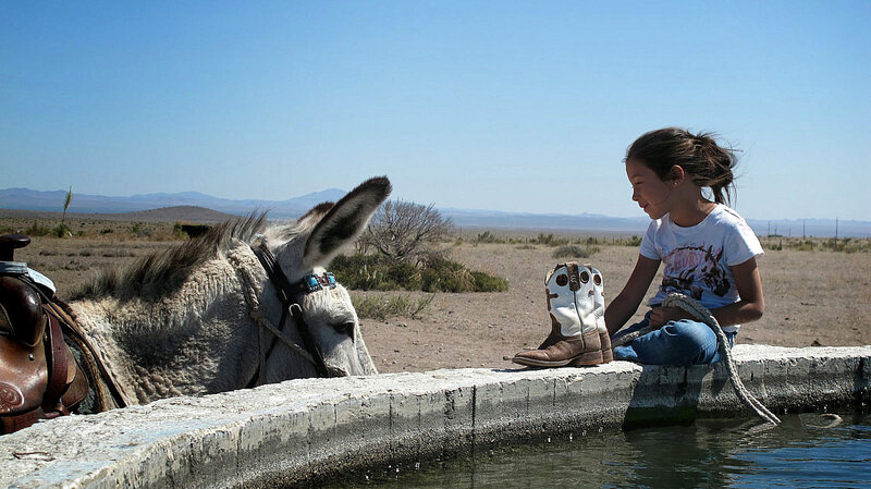 Girl with Donkey — Blue