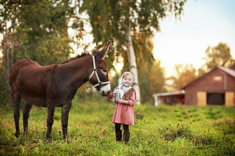Girl with Donkey — Green
