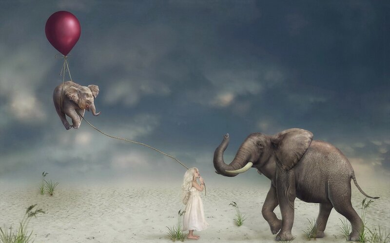 Girl with Elephants