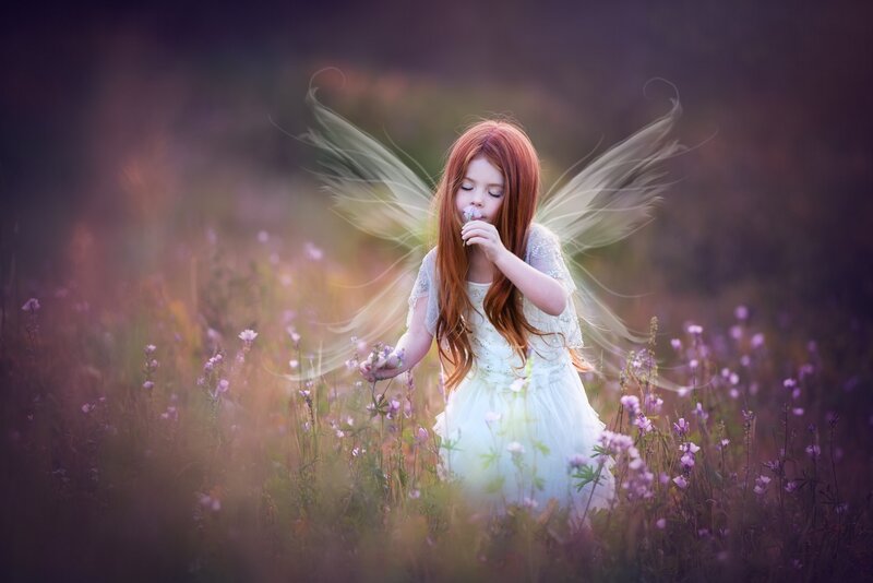 Girl with Fairy Wings — Purple, Serene, Sunset