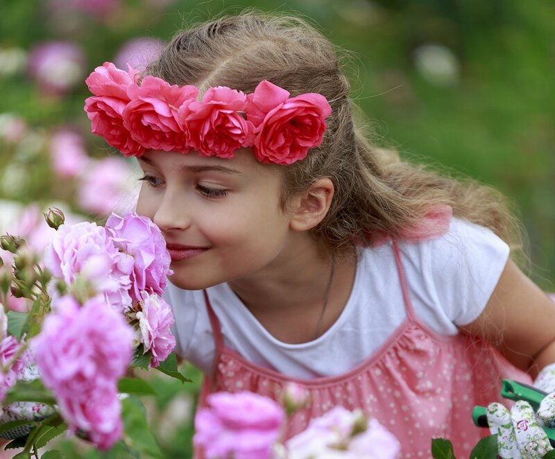 Girl with Flower Crown — Pink, Serene, Spring