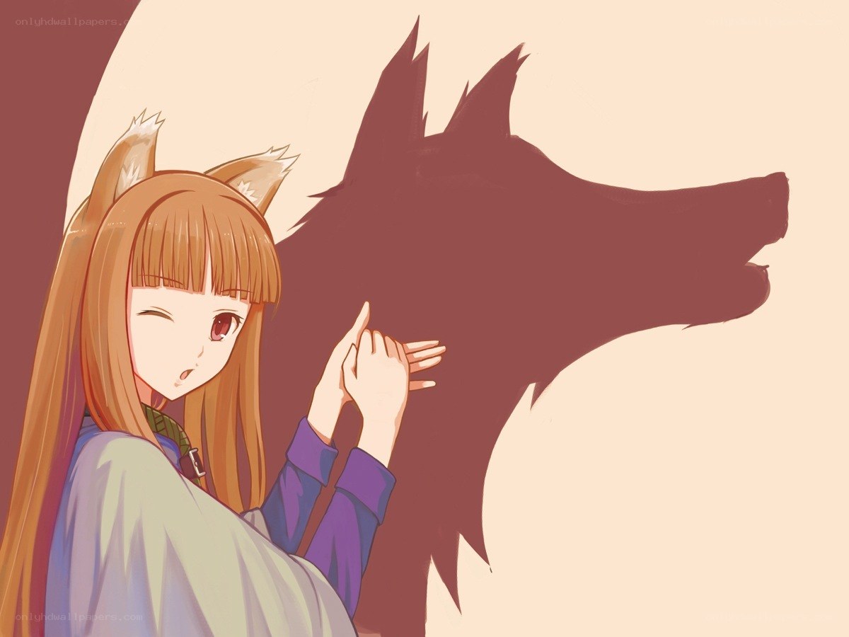 girl with fox ears and shadow