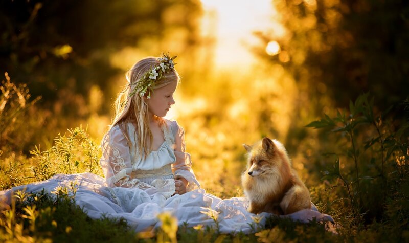 Girl with Fox in Field