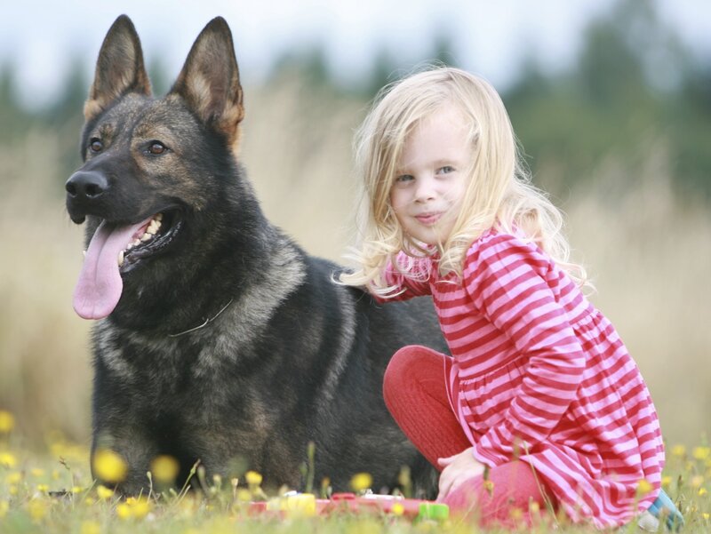 Girl with German Shepherd — Red