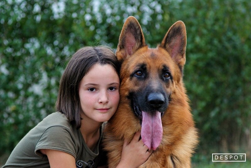 Girl with German Shepherd