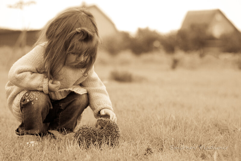 Girl with Hedgehog