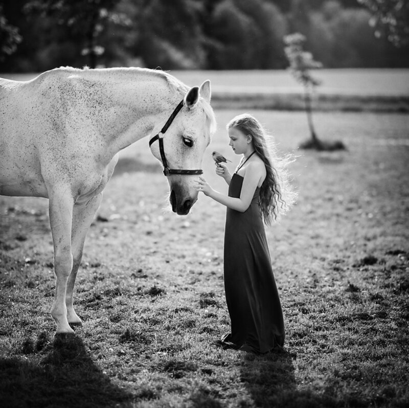 Girl with Horse and Bird