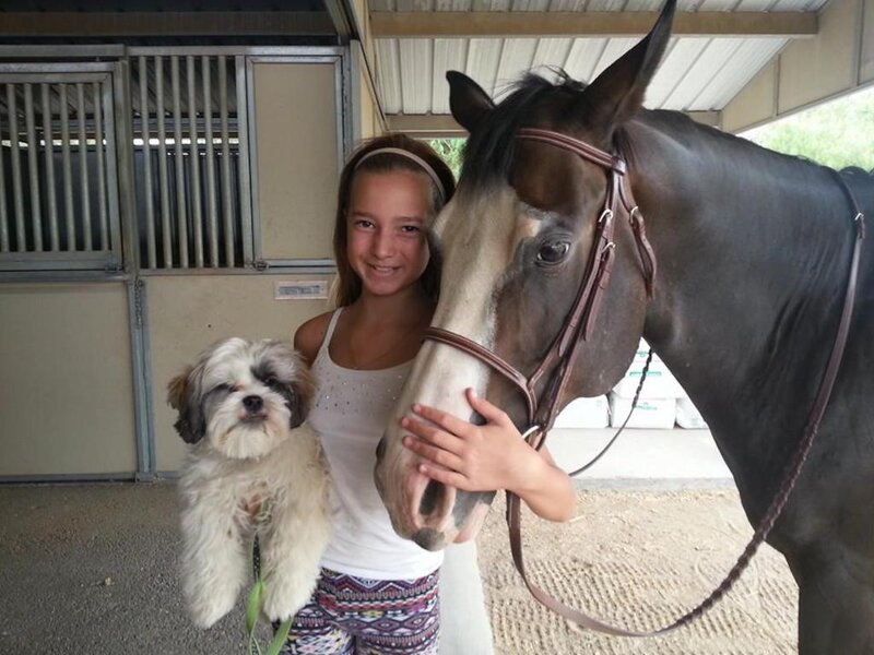 Girl with Horse and Dog