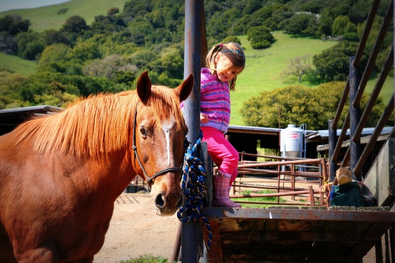 Girl with Horse — Brown, Serene