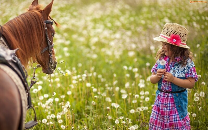 Girl with Horse in Field — Green, Serene, Afternoon