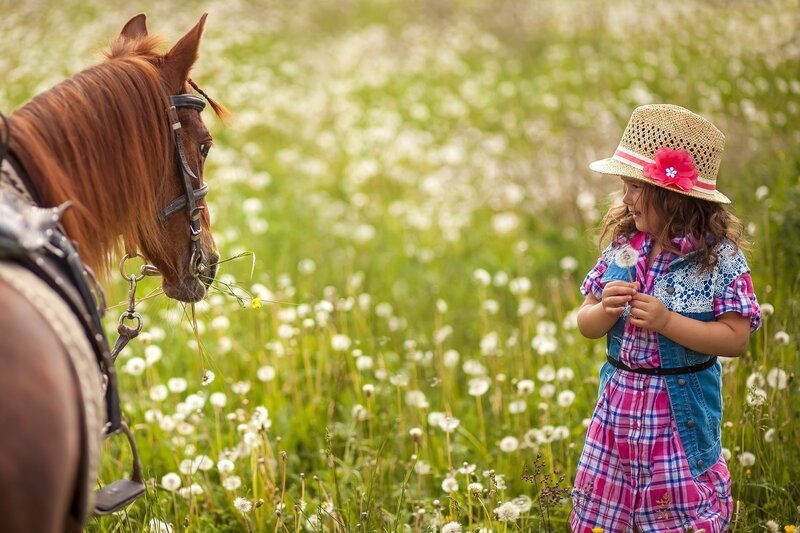 Girl with Horse in Field — Green, Serene