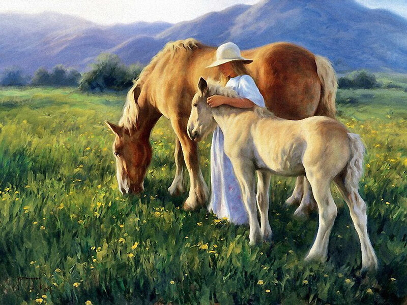 Girl with horses in a field
