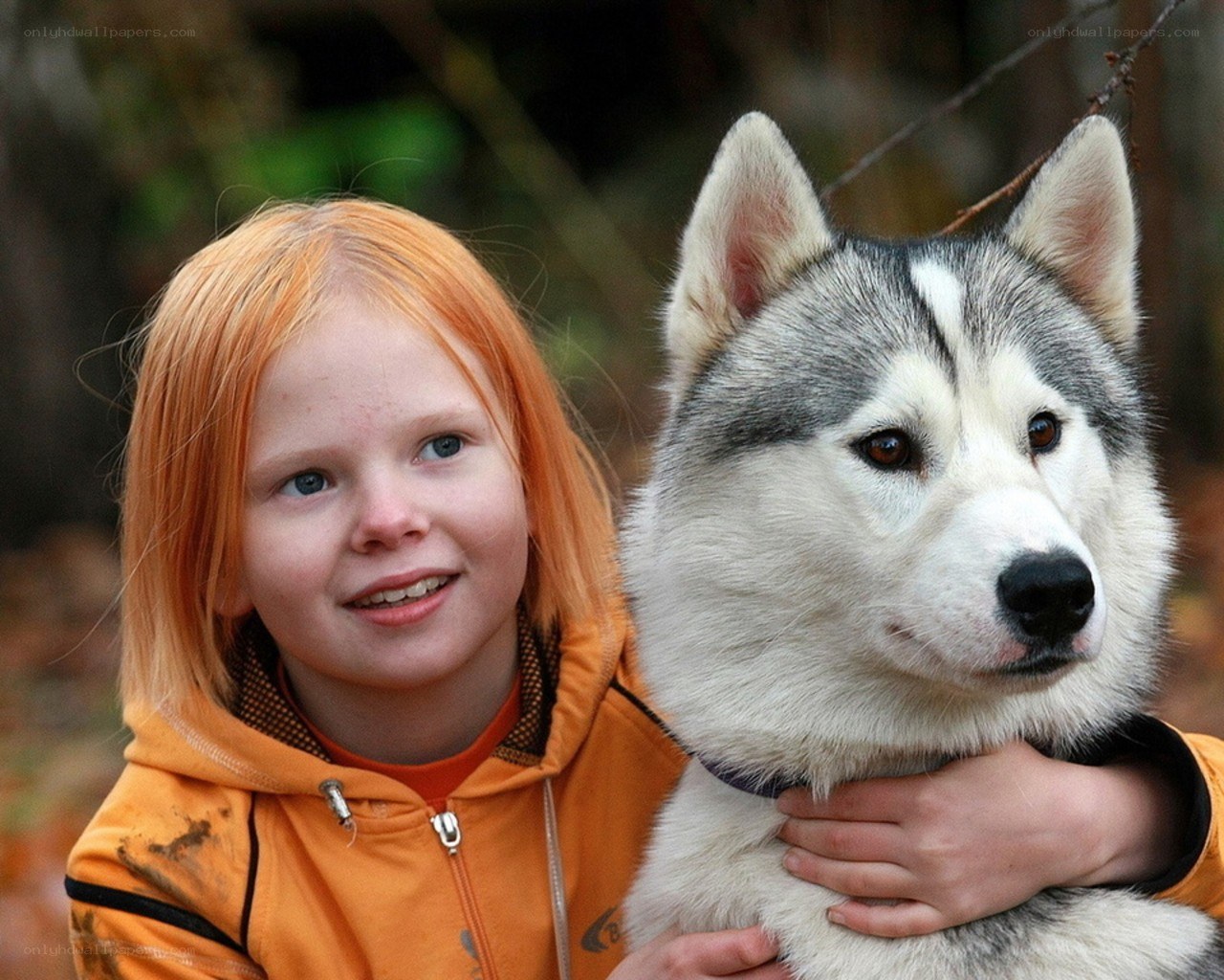 Girl with husky dog