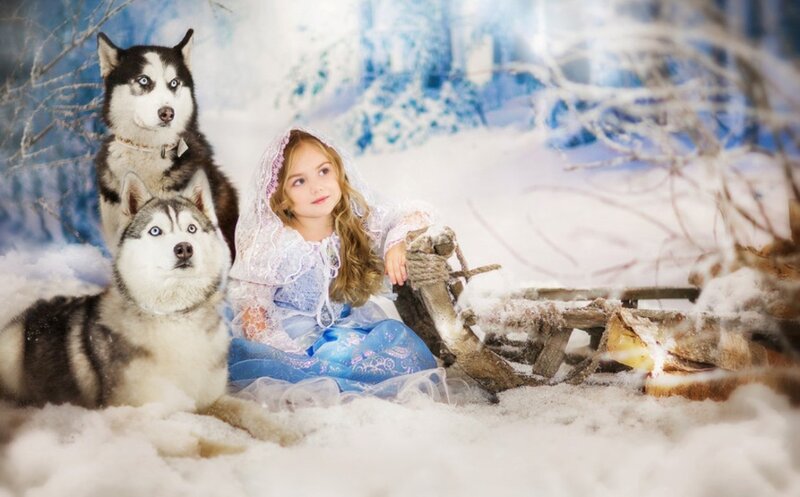 Girl with Husky Dogs