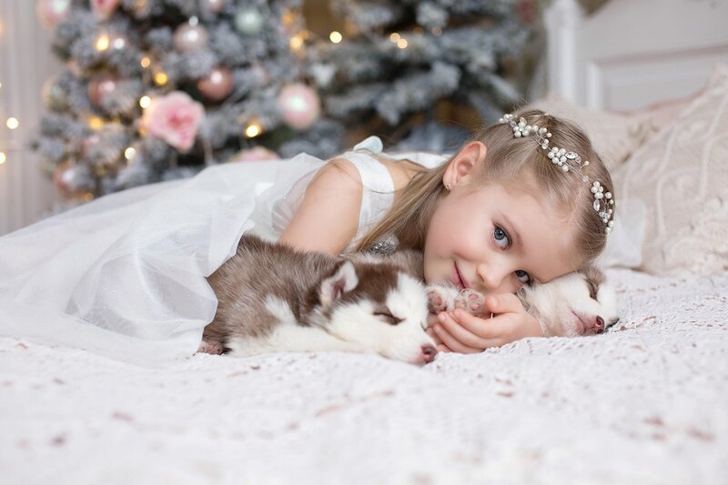 Girl with Husky Puppies
