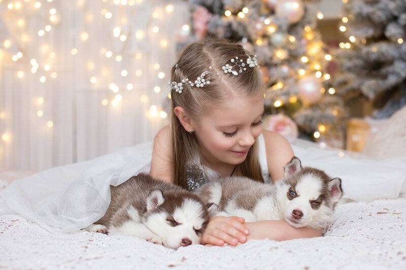 Girl with Husky Puppies — White