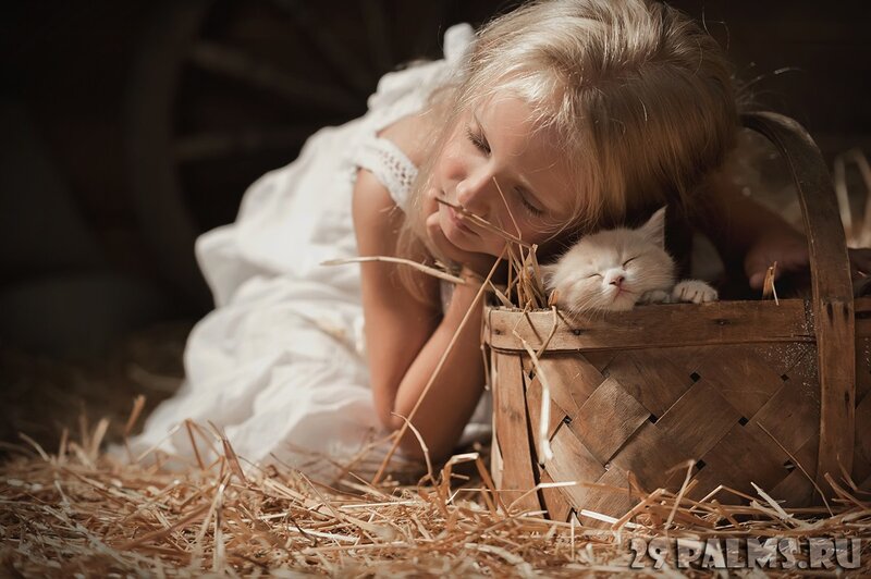 Girl with Kitten in Basket