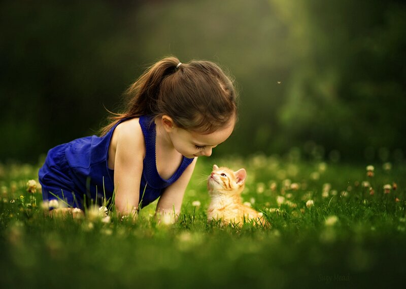 Girl with Kitten in Grass