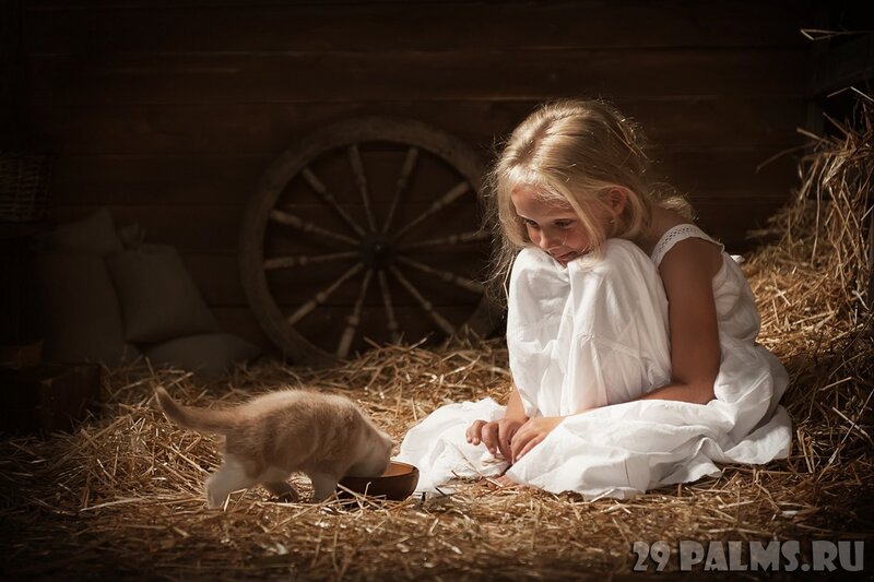 Girl with Kitten in Hay — White