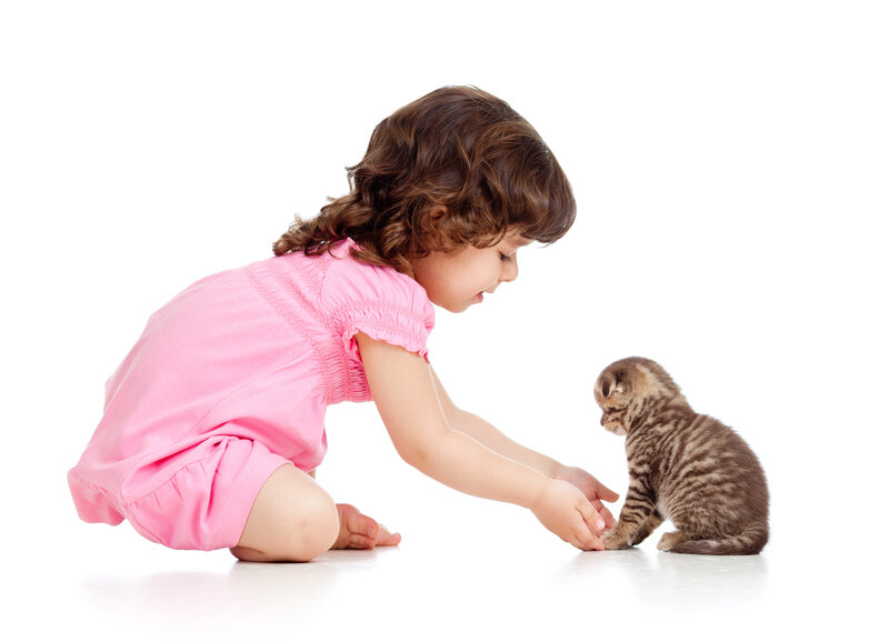 Girl with Kitten — Pink