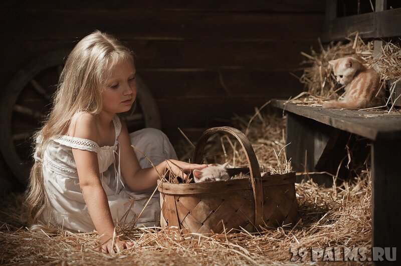 Girl with Kittens in Barn