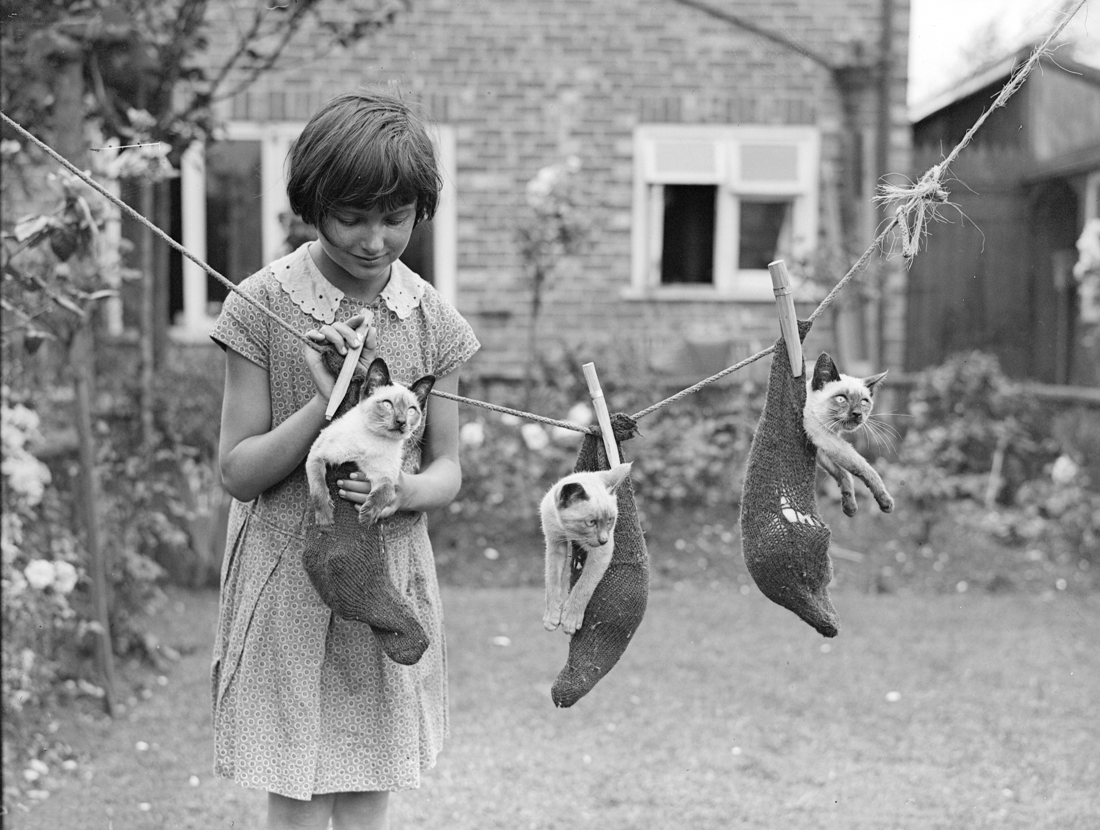 Girl with kittens on a clothesline
