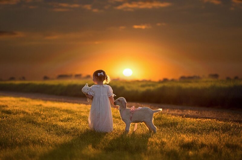Girl with Lamb in Field — Orange