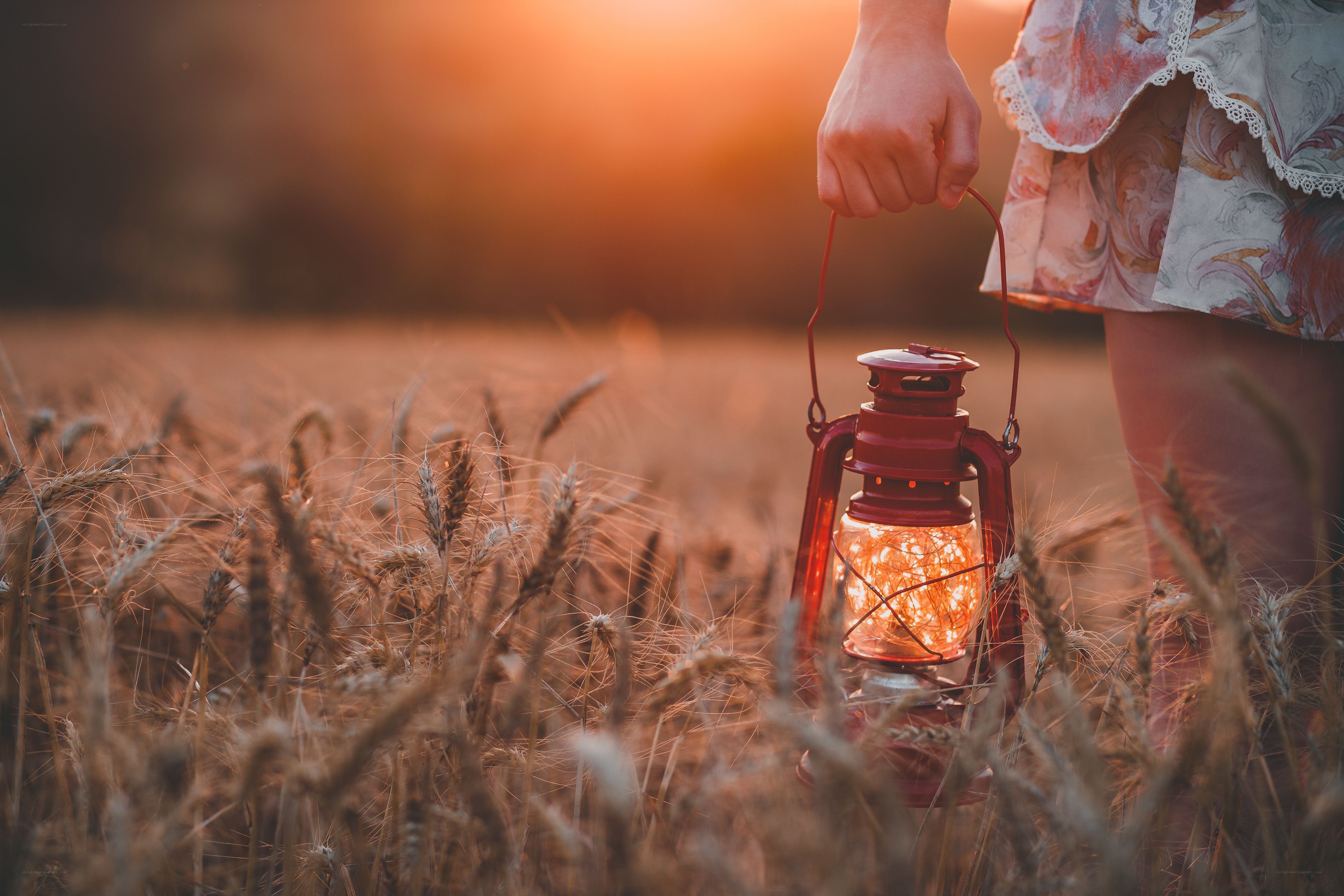 Girl with lantern in wheat field