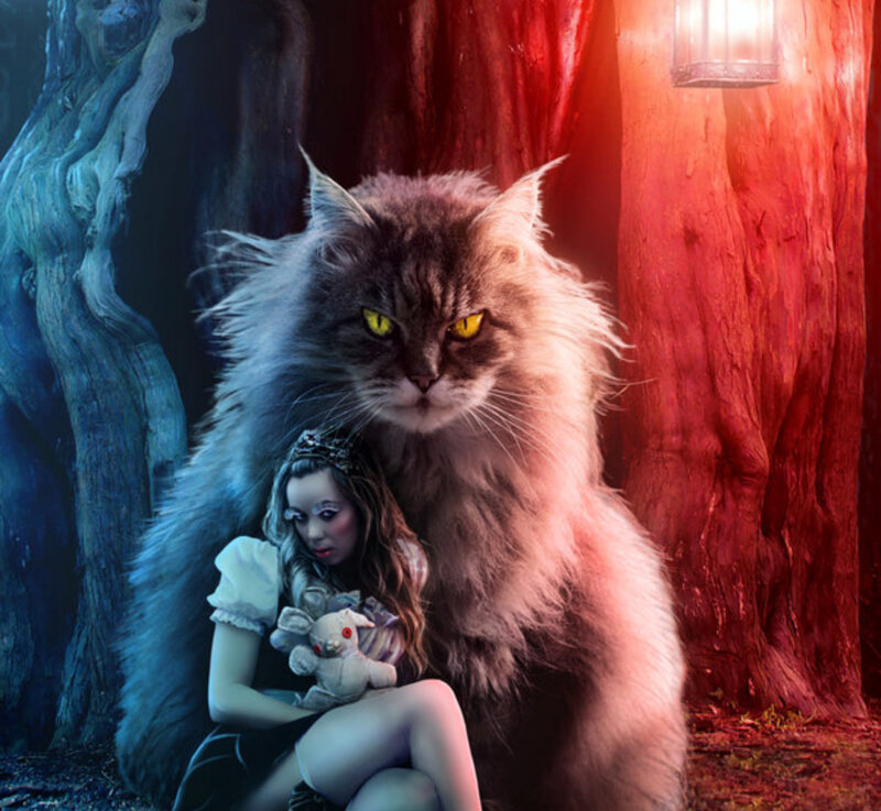 Girl with Large Cat