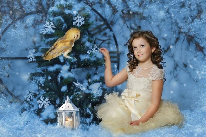 Girl with Owl in Snow — Blue