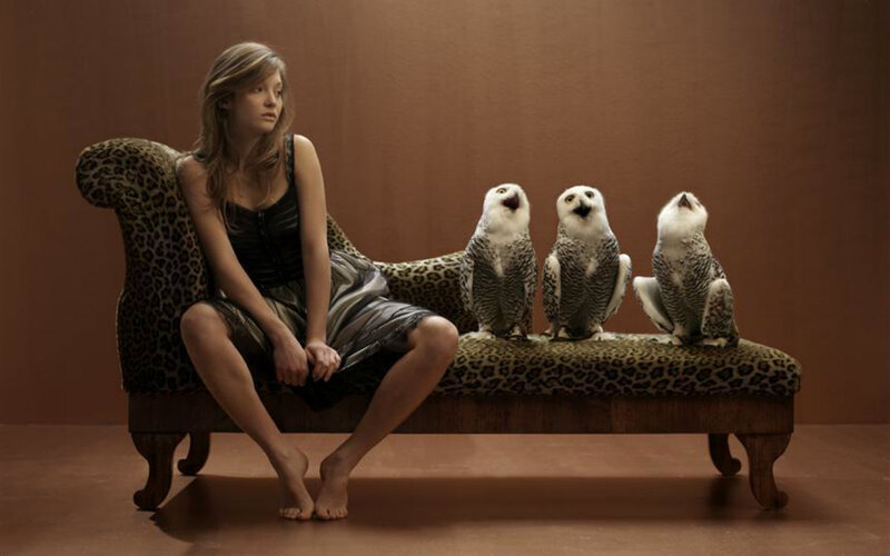 Girl with Owls on Bench