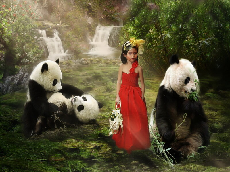 Girl with Pandas
