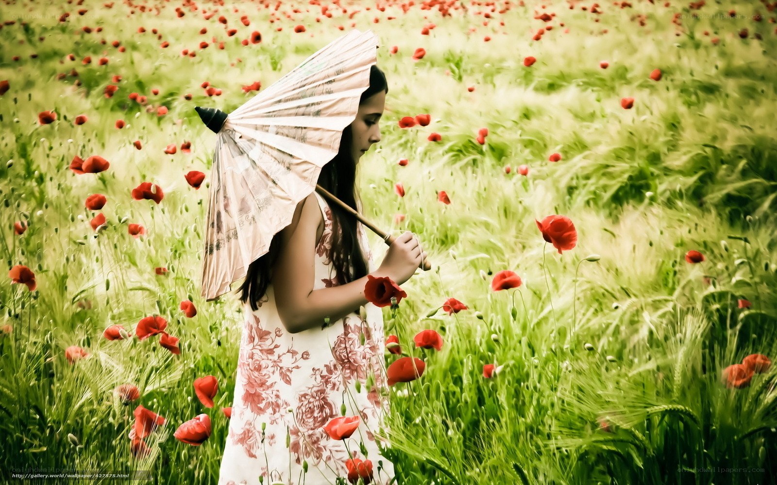 Girl with parasol in poppy field