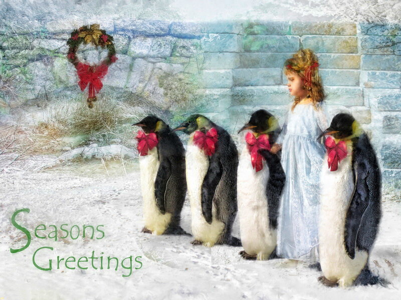 Girl with Penguins — White
