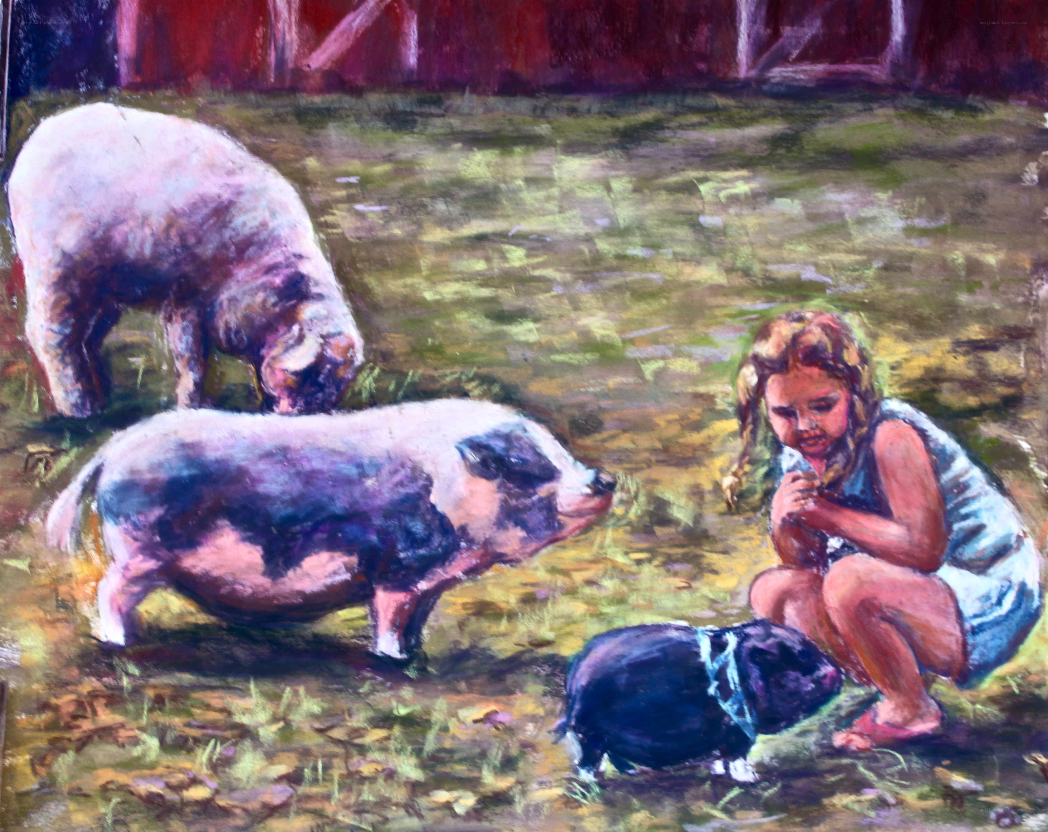 Girl with pigs on farm
