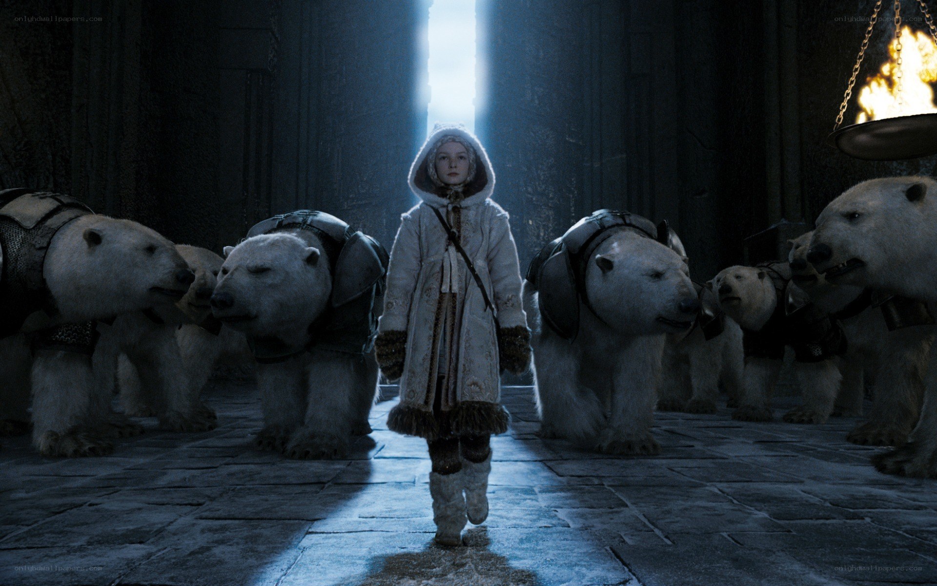 girl with polar bears